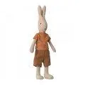 Rabbit Size 1 with classic T-Shirt and Shorts
