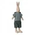 Rabbit Size 2 with Classic Shirt and Shorts