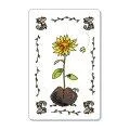 Card game Flora with wild flowers Seedball