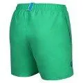 Fundamentals Arena green quartz/purple blue swim shorts