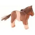 Ostheimer pony wood