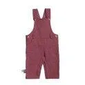 Baby Dungarees Bordeaux