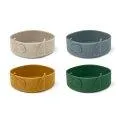 Silicone Bowls Emily 4-Pack Garden Green Multi Mix