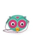 Monkey tooth purse owl