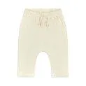 Baby Pants Cream - Chinos and joggers are perfect for everyday life and always fit | Stadtlandkind