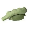 Bed Snake Sleepy Croc XXL, pine green - A soft pillow for the children's room | Stadtlandkind
