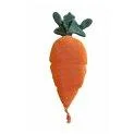 Coussin tricoté Cathy the Carrot