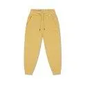 Pantalon Gold