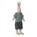 Rabbit Size 2 with Classic Shirt and Shorts - Cuddly animals, the best friends of your children | Stadtlandkind