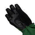 Reina Mountain Green gloves