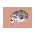 Postcard hedgehog