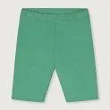 Shorts Bright Green - Hosen für deine Kinder zu jedem Anlass - ob kurz, lang, aus Denim oder Bio-Baumwolle | Stadtlandkind