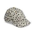 Danny Cap Leo spots - Mist - Colorful caps and sun hats for outdoor adventures | Stadtlandkind