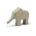 Ostheimer Elephant Small Trunk Stretched