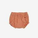 Culotte Baby Terry Orange Stripes - Les shorts pour les journées ensoleillées | Stadtlandkind