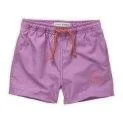 Venice Beach Purple swim shorts