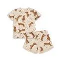 Pyjama Set Tiger Sand - Pyjamas, Unterwäsche, Socken und Strumpfhosen - damit sich deine Kinder jeden Tag pudelwohl fühlen | Stadtlandkind