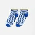 Socken Bolze Stripe A - Die richtige Socke in höchster Qualität für jede Saison und jedes Alter mit und ohne ABS | Stadtlandkind