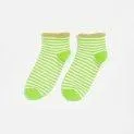 Socken Bolze Stripe B - Die richtige Socke in höchster Qualität für jede Saison und jedes Alter mit und ohne ABS | Stadtlandkind