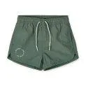 Aiden Printed Board Shorts Garden Green - Ready for any weather with children's clothes from Stadtlandkind | Stadtlandkind