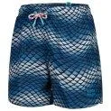 Swim shorts Beach Allover blue lake/multi