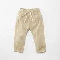 Baby UV jogger pants Sandy Beach - Pants for every occasion | Stadtlandkind