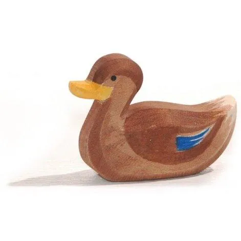 Ostheimer duck swimming wood - Ostheimer