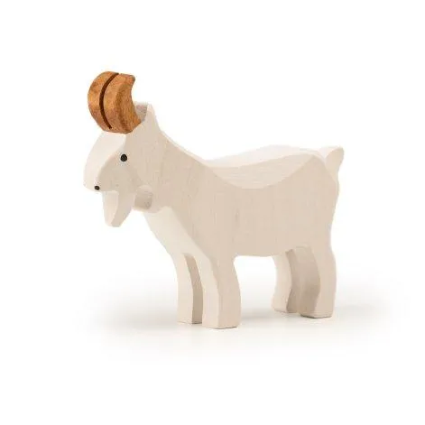 Billy goat standing white - Trauffer
