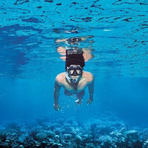 Premium Snorkeling Set black/clear/black - arena