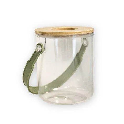 Insect glass with magnifying glass - Mamamemo