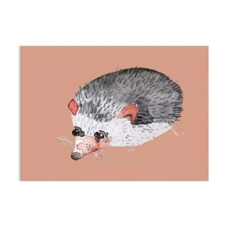 Postcard hedgehog - nuukk