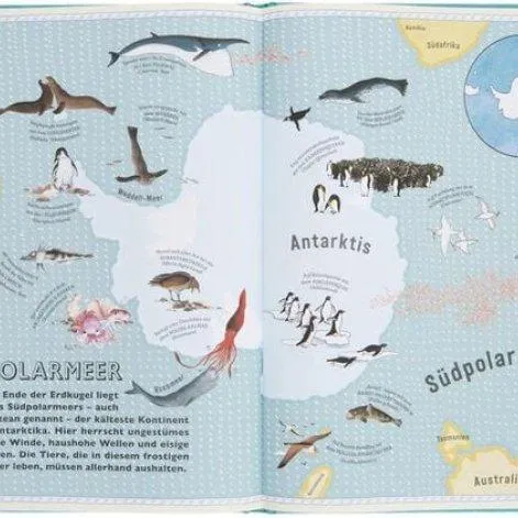 Der Atlas der Ozeane - Stadtlandkind