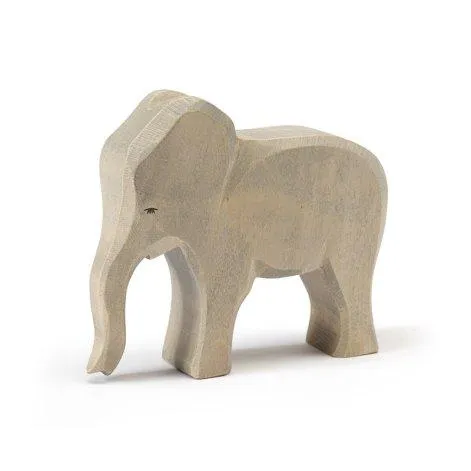 Ostheimer elephant cow - Ostheimer