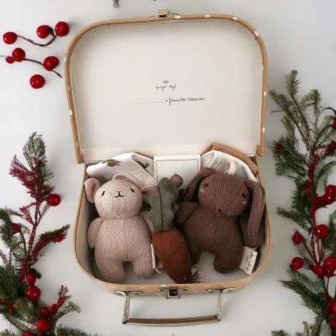 Little Rabbit birth gift suitcase - Stadtlandkind