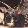 Lindbergh - The adventurous story of a flying mouse (Nordsued)